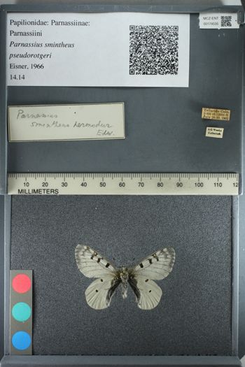 Media type: image;   Entomology 174535